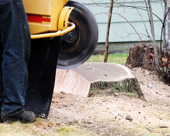 Stump Grinding Services​