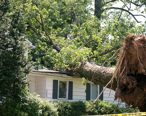 Emergency Storm Response