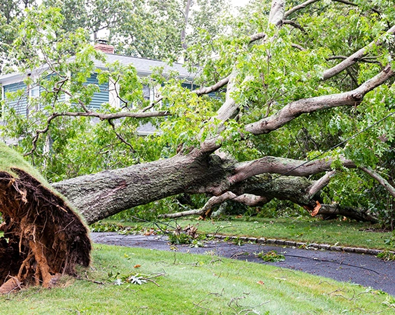 Residential Storm Preparation