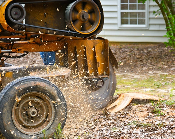 Residential Stump Grinding​