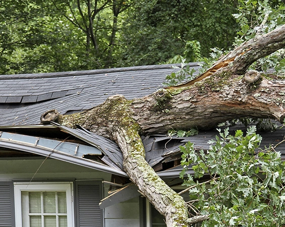 Storm-Proofing Home Exteriors​